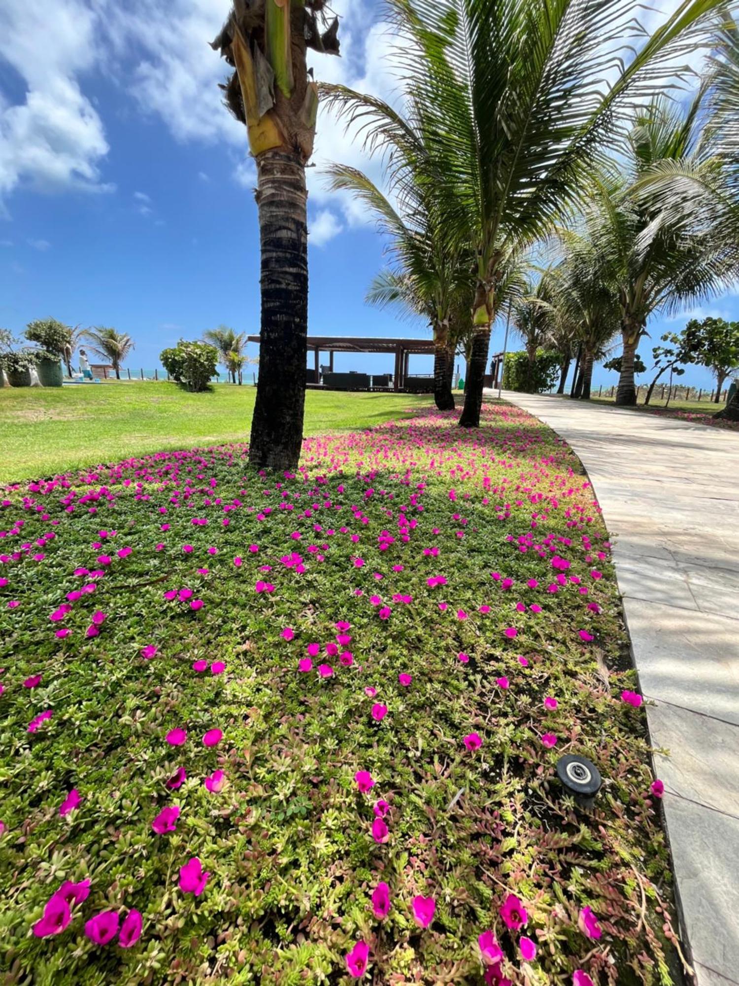 Resort Beira Mar Em Porto De Galinhas - Cupe Beach Living Buitenkant foto